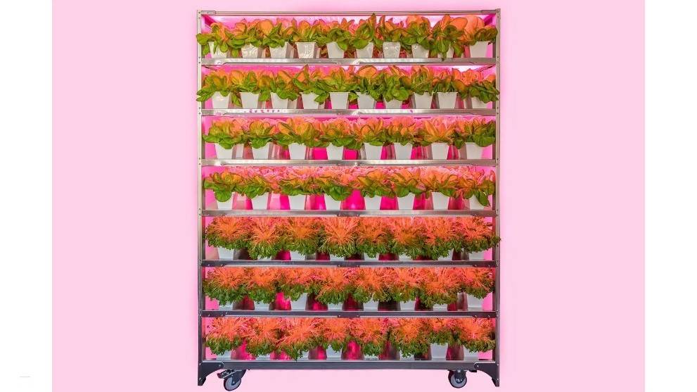 Bever Innovations agricultura vertical|Bever Innovations agricultura vertical